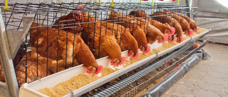 Обложка записи