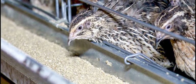 Обложка записи