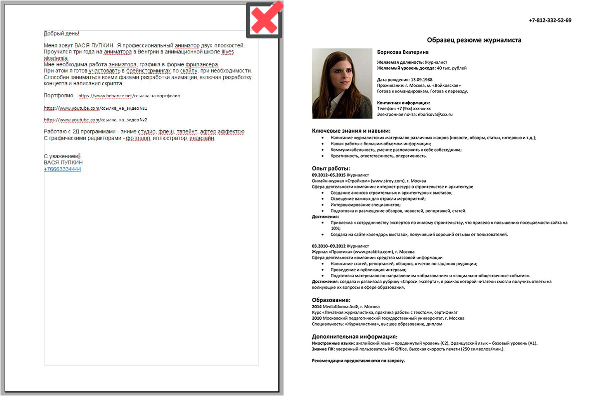 Образец резюме